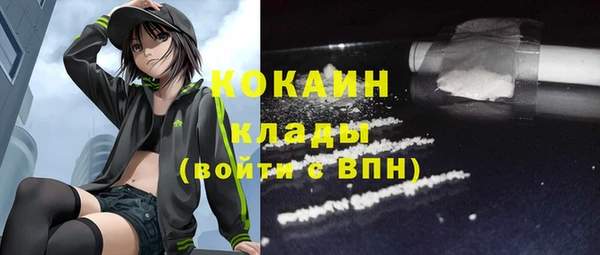 хмурый Магас