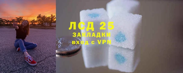 хмурый Магас
