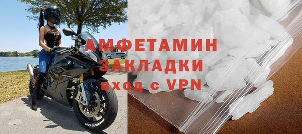 хмурый Магас
