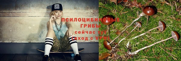 хмурый Магас