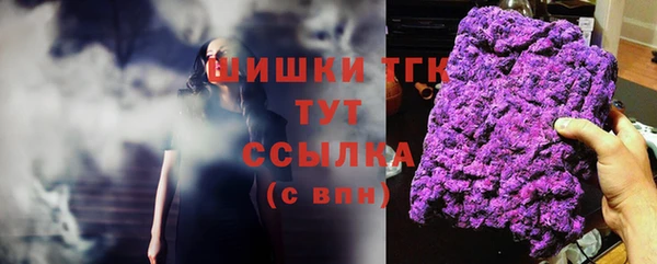 крисы Жердевка