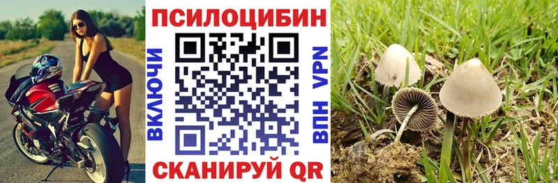 даркнет сайт  Певек  Галлюциногенные грибы Cubensis 